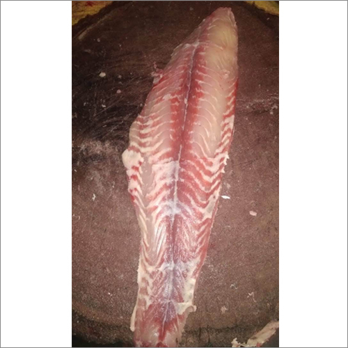Basa Fillet Fish Packaging: Can