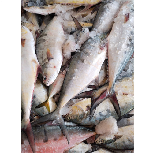 Fly Fish Packaging: Can