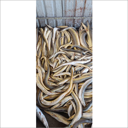 येलो वाम फिश पैकेजिंग: कैन