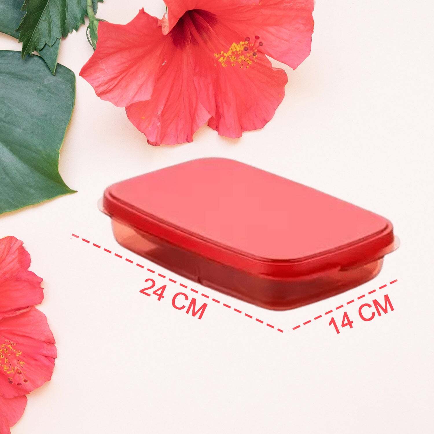 Seal Rectangular 2 Containers Lunch Box (2879) - Multi-color | Compact Size 24x15x5 Cm, Lightweight 0.270 Kg, Perfect For Meal Prep