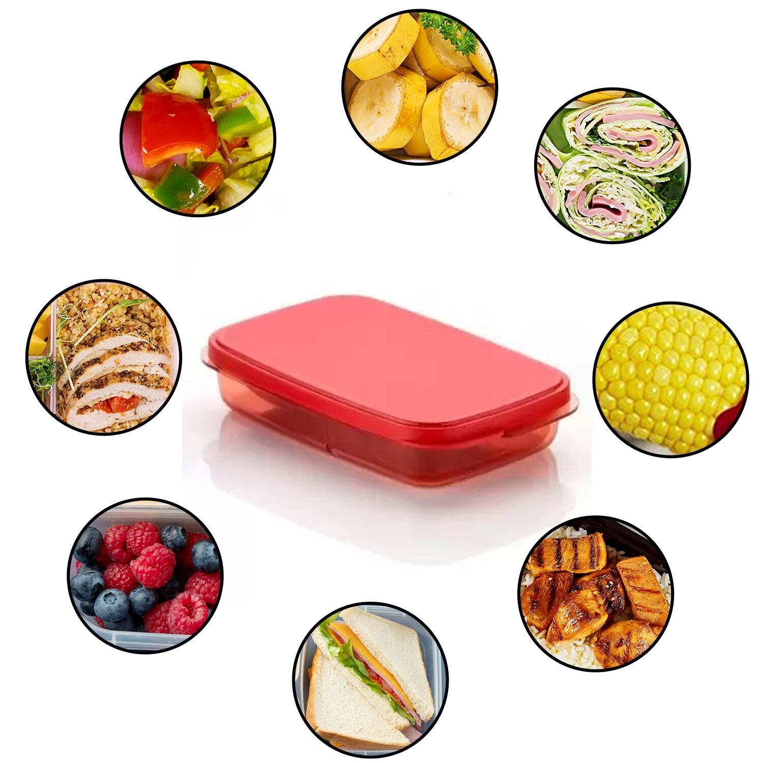 Seal Rectangular 2 Containers Lunch Box (2879) - Multi-color | Compact Size 24x15x5 Cm, Lightweight 0.270 Kg, Perfect For Meal Prep