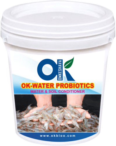 Water Probiotics Use: Fish Pond And Aqua Pond