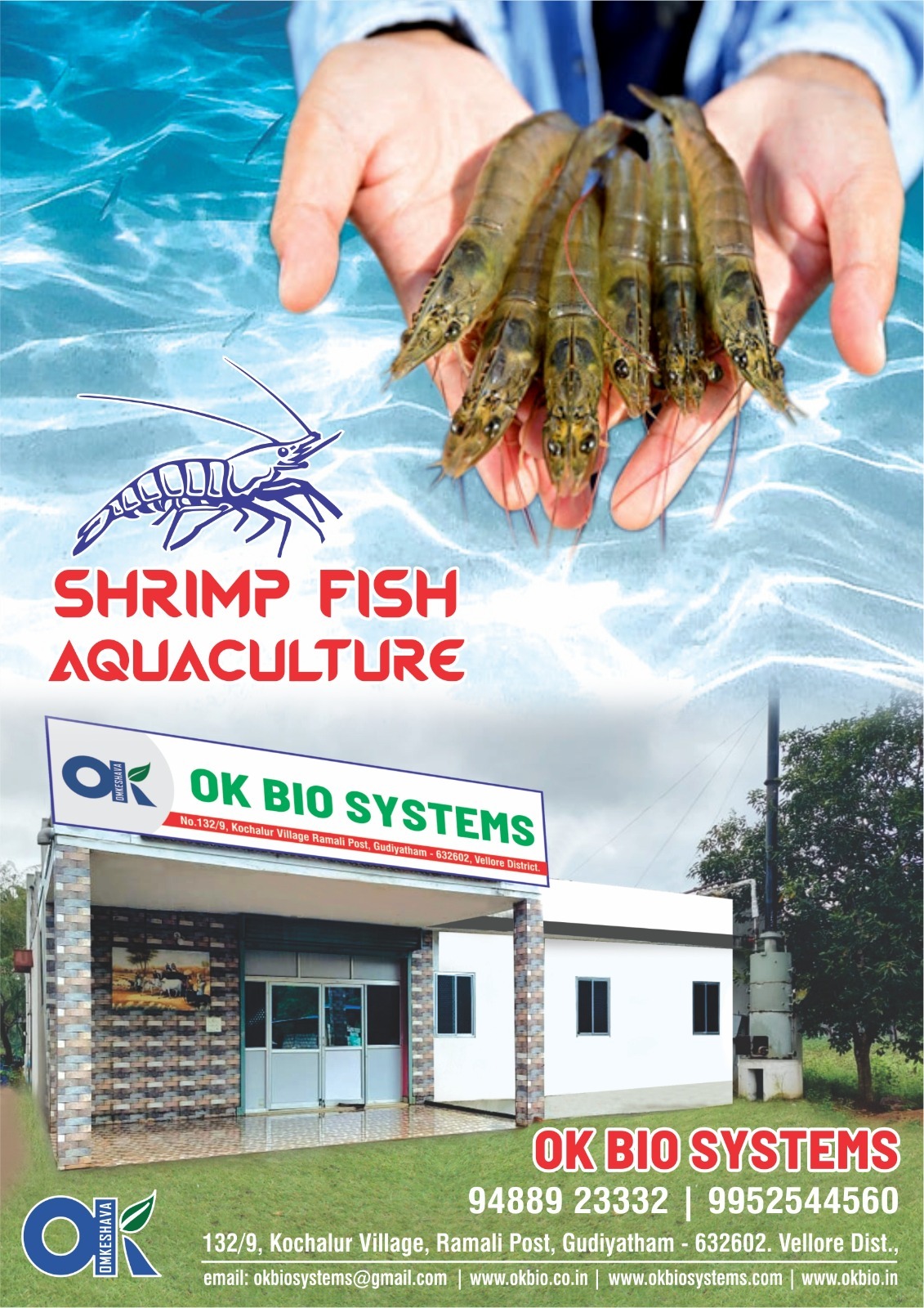 Water Probiotics - 500g Aqua Probiotics For Pond Soil & Water Conditioning | Reduces Sludge Levels, Optimizes Soil Parameters, Ideal For Fish & Aqua Ponds