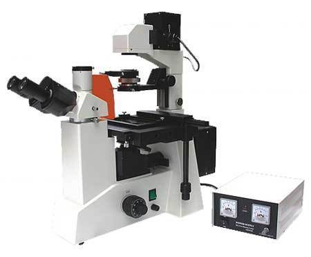 Inverted Fluorescence Microscope - Stainless Steel & Aluminum , Wide Field Eyepieces, Long Working Distance Objectives, Comfortable Operation