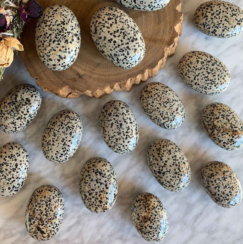 Dalmatian Jasper Worry Stone - 30 To 35 Mm, Handmade Polished Gemstone For Healing Meditation And Home Decor, Multi-color With Feng Shui Style