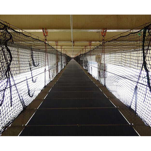 ब्लैक वेब सिस्टम