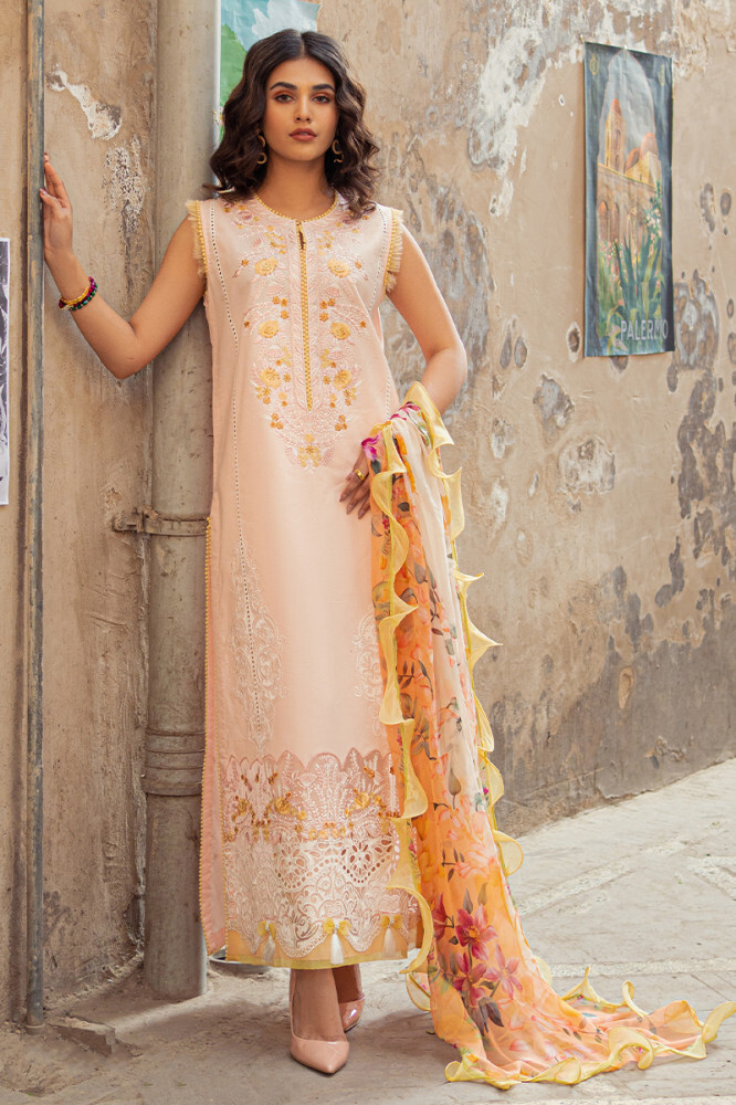Blue Mushq Hemline Ladies Designer Suit