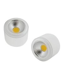 LED COB Light
