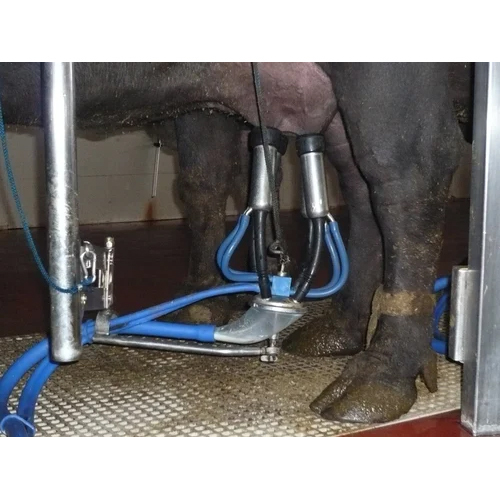 Single Bucket Milking Machine - 220 Volt, Manual Control System | Automatic Operation For Dairy Farms