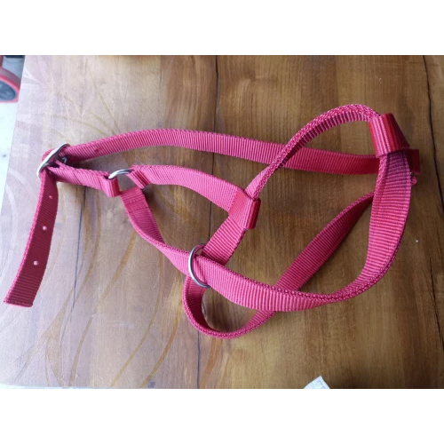 Pink Nylon Cow Halter