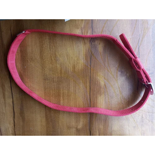 Pink Nylon Cow Halter