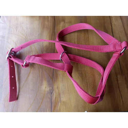 Pink Nylon Cow Halter