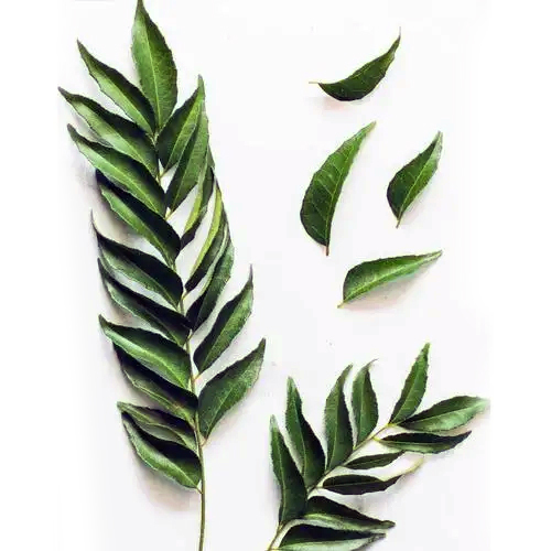 करी पत्ता पाउडर ग्रेड: A