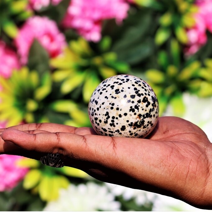 Dalmatian Jasper Sphere - 3 To 3.5 Inch Natural Gemstone, White And Black Polished Stone For Healing And Home Decor