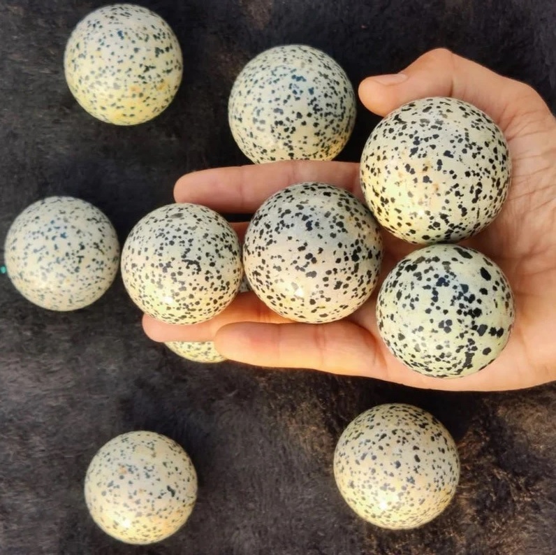 Dalmatian Jasper Sphere - 3 To 3.5 Inch Natural Gemstone, White And Black Polished Stone For Healing And Home Decor