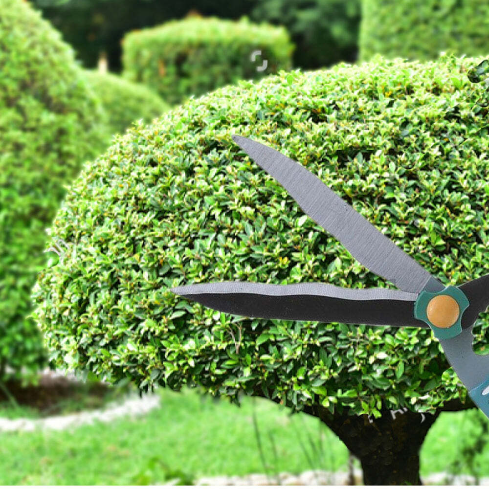 Garden Big Scissor - Carbon Steel Material, 50x5x14 Cm Size, Multi Assorted Color | Ideal For Pruning And Trimming Tasks