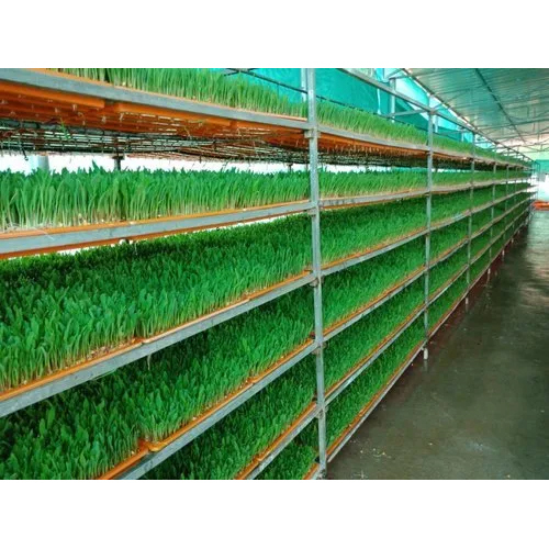 Five Layer Hydroponic System High Quality