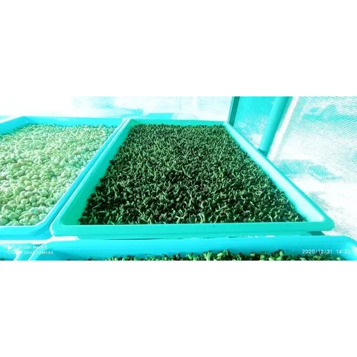 Five Layer Hydroponic System High Quality