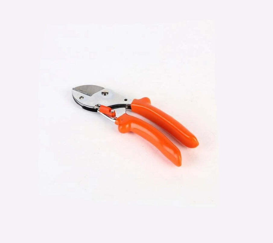 Multi / Assorted Professional Garden Scissor With Sharp Blade Comfortable Handle (1506)