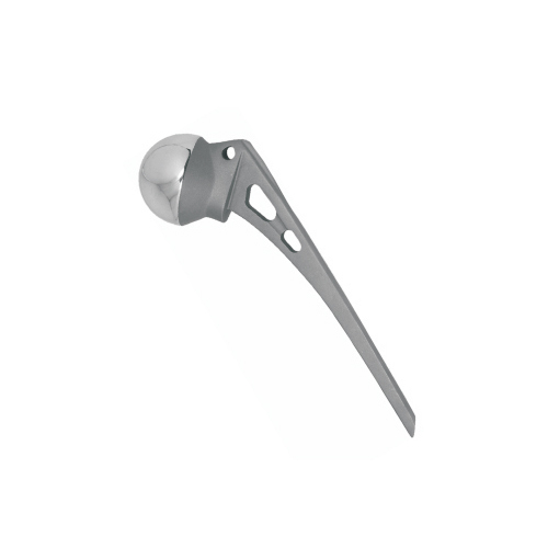 ऑस्टिन मूर हिप प्रोथेसिस स्टेप बॉल लाइट सोर्स: नहीं