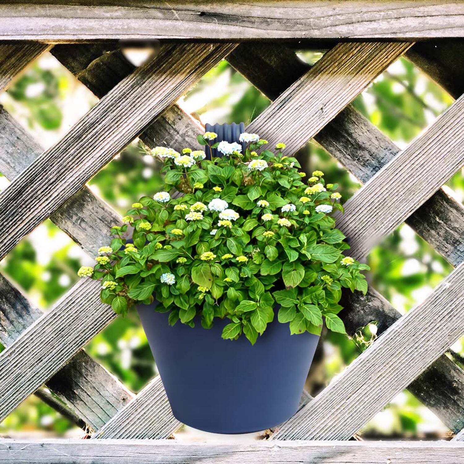Hanging Planter Pot For Storing Plants And Flowers - Plastic, 21x23x28 Cm, Multi/assorted Color | Ideal For Gardening And Household Use