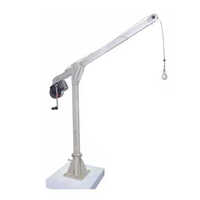 विंच के साथ सिल्वर मोनोपॉड