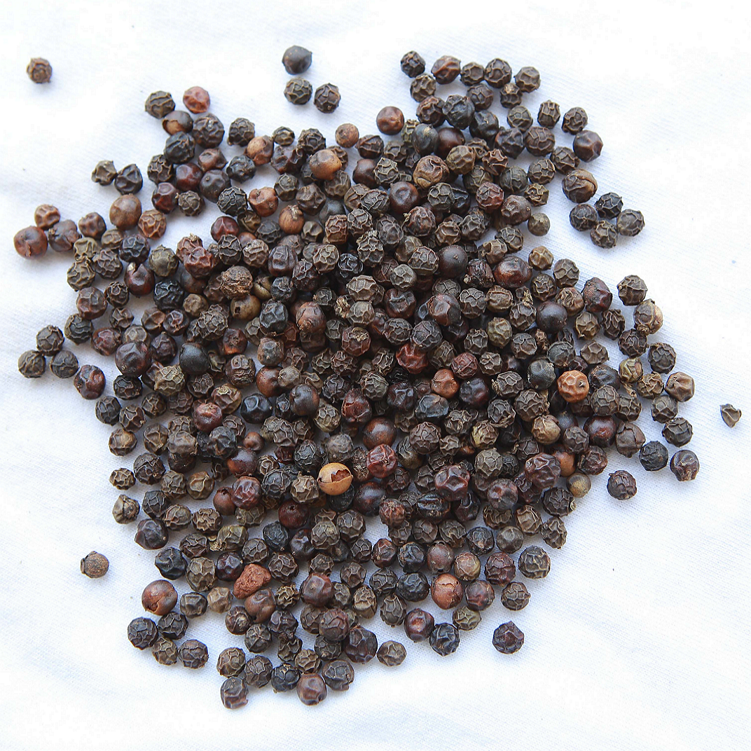 0.2 Organic Black Pepper