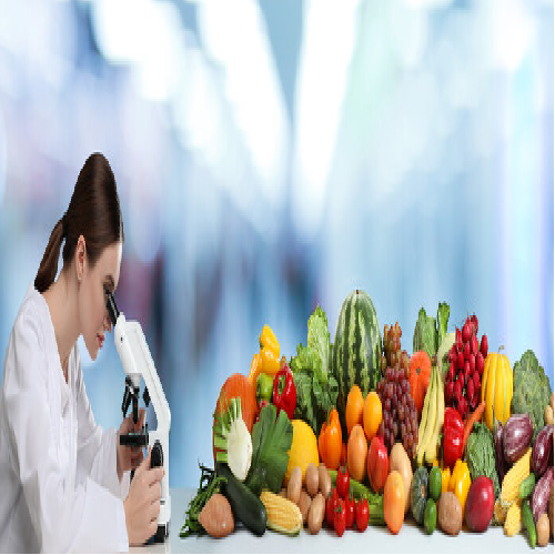 Food Testing Laboratory - Nutritional Testing For Protein, Carbohydrate, Fat, Energy, Ash, Moisture | Multiple Testing Methods, High Throughput, Iso 17025 Compliant, 220v Power Requirements, +/- 2% Accuracy