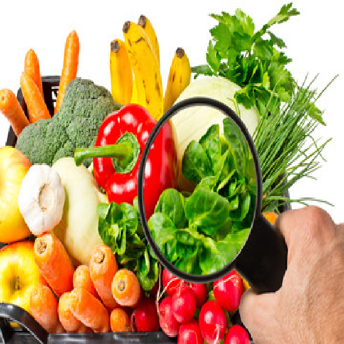 Food Testing Laboratory - Nutritional Testing For Protein, Carbohydrate, Fat, Energy, Ash, Moisture | Multiple Testing Methods, High Throughput, Iso 17025 Compliant, 220v Power Requirements, +/- 2% Accuracy
