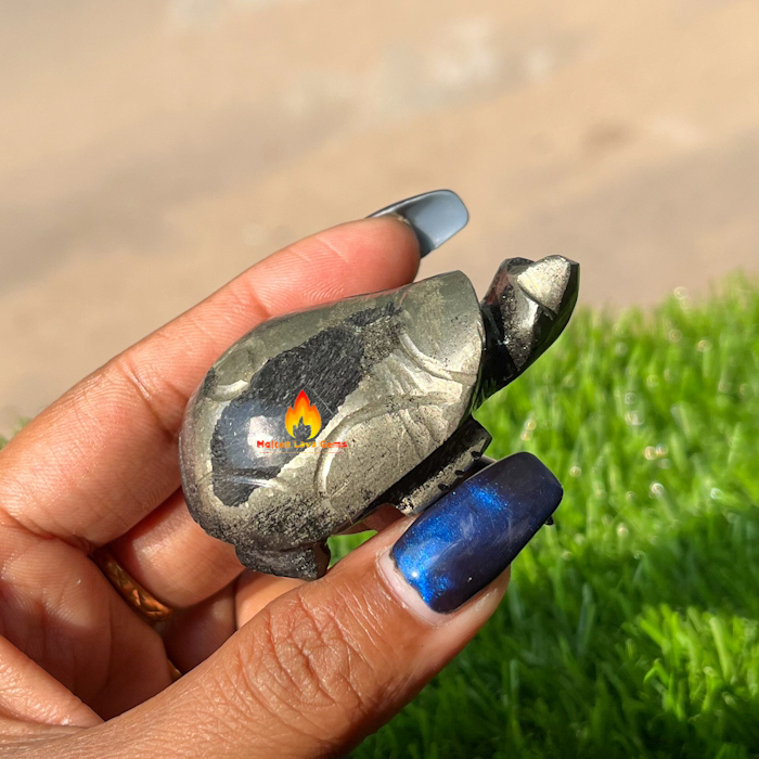 Black Apache Pyrite Tortoise For Home Decoration