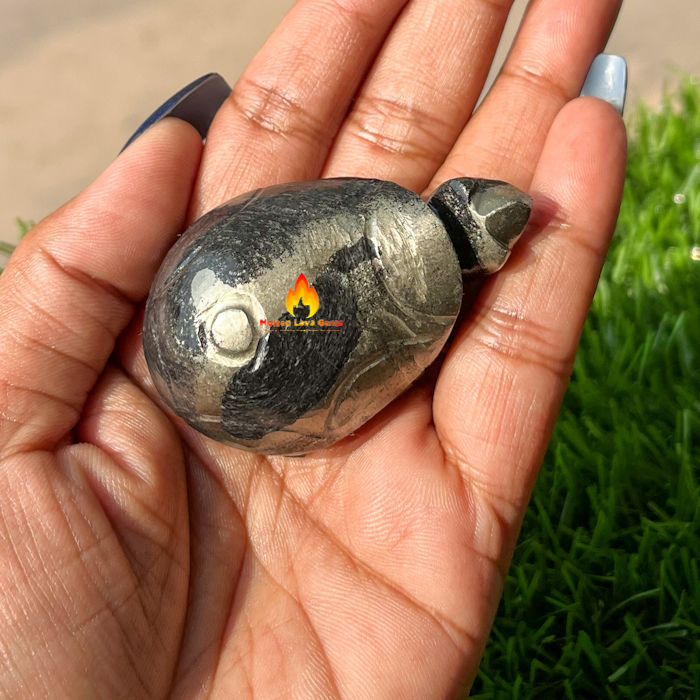 Black Apache Pyrite Tortoise For Home Decoration