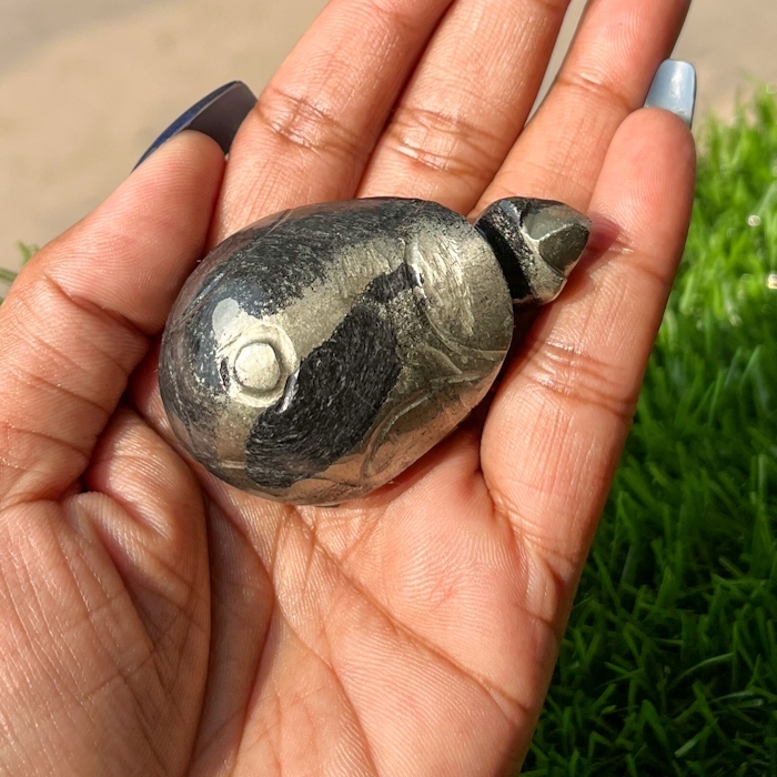 Black Apache Pyrite Tortoise For Home Decoration