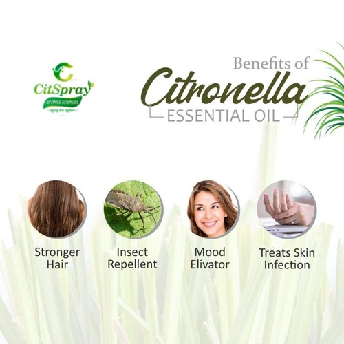 Citronella Oil - 100% Herbal Extract, Warm Citrus Aroma | Multi-Purpose Skin & Hair Care, Natural Mosquito Repellent, Enhances Well-Being