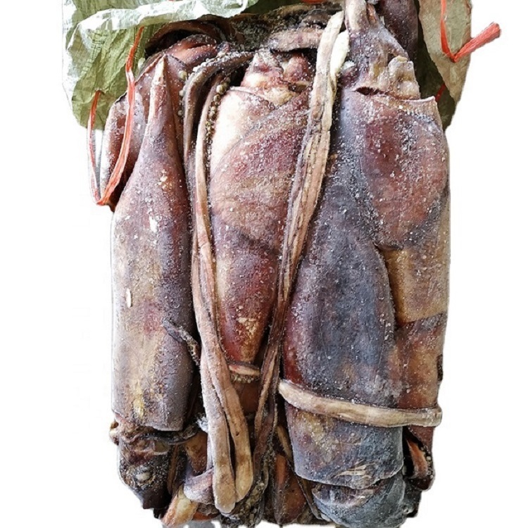 Frozen Giant Squid Tentacle Packaging: Mason Jar