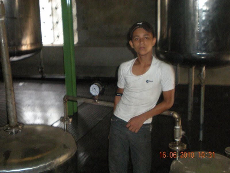 Dioctyl Phthalate Plant - Capacity: 10 Ton/day