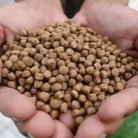 उच्च गुणवत्ता वाला कटला फिश फीड