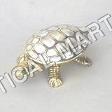 BRASS TURTLE BOX