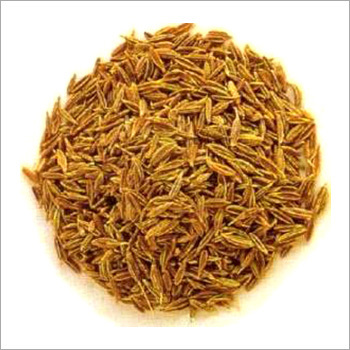 जीरा (Cumin Seeds)