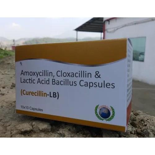 एमोक्सीसिलिन क्लॉक्सासिलिन और लैक्टिक एसिड बेसिलस कैप्सूल सामान्य दवाएं