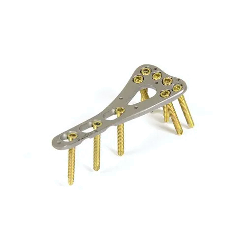 सिल्वर एलसीपी टू कॉलम डिस्टल रेडियस प्लेट राइट और लेफ्ट