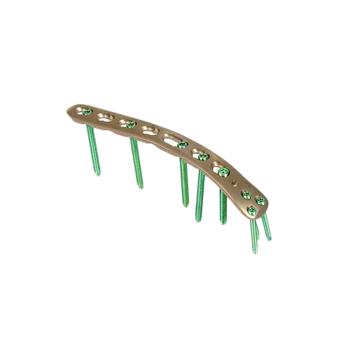 गोल्डन एलसीपी डिस्टल ह्यूमरस डोरसोल लेटरल राइट एंड लेफ्ट