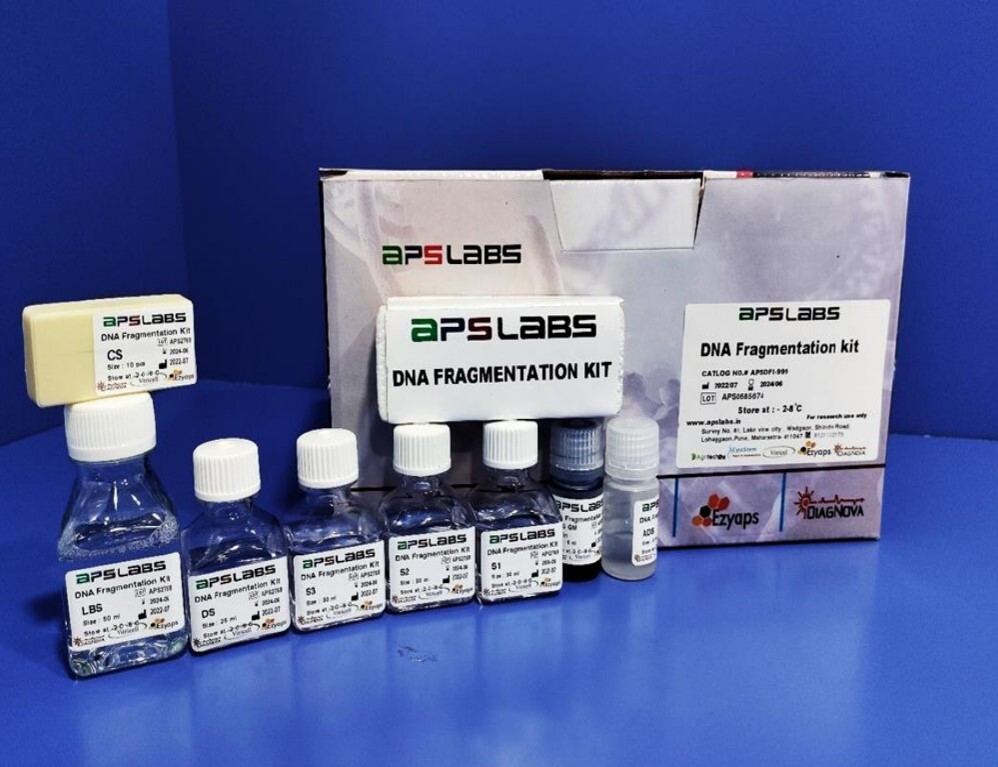 Dna Fragmentation Kit 10rxn