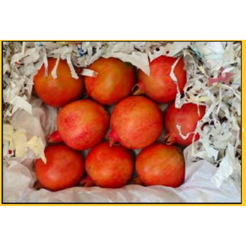 लाल ताजा अनार