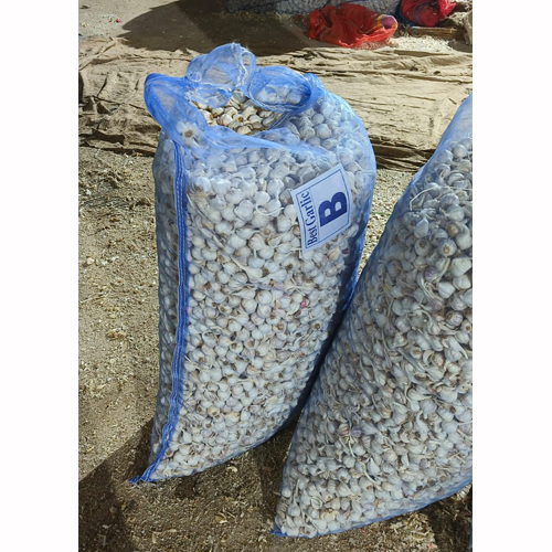 Fresh White Garlic - Organic, Raw Cloves | Preserved Naturally, Vitamin-rich & Immune-boosting Flavor Enhancer