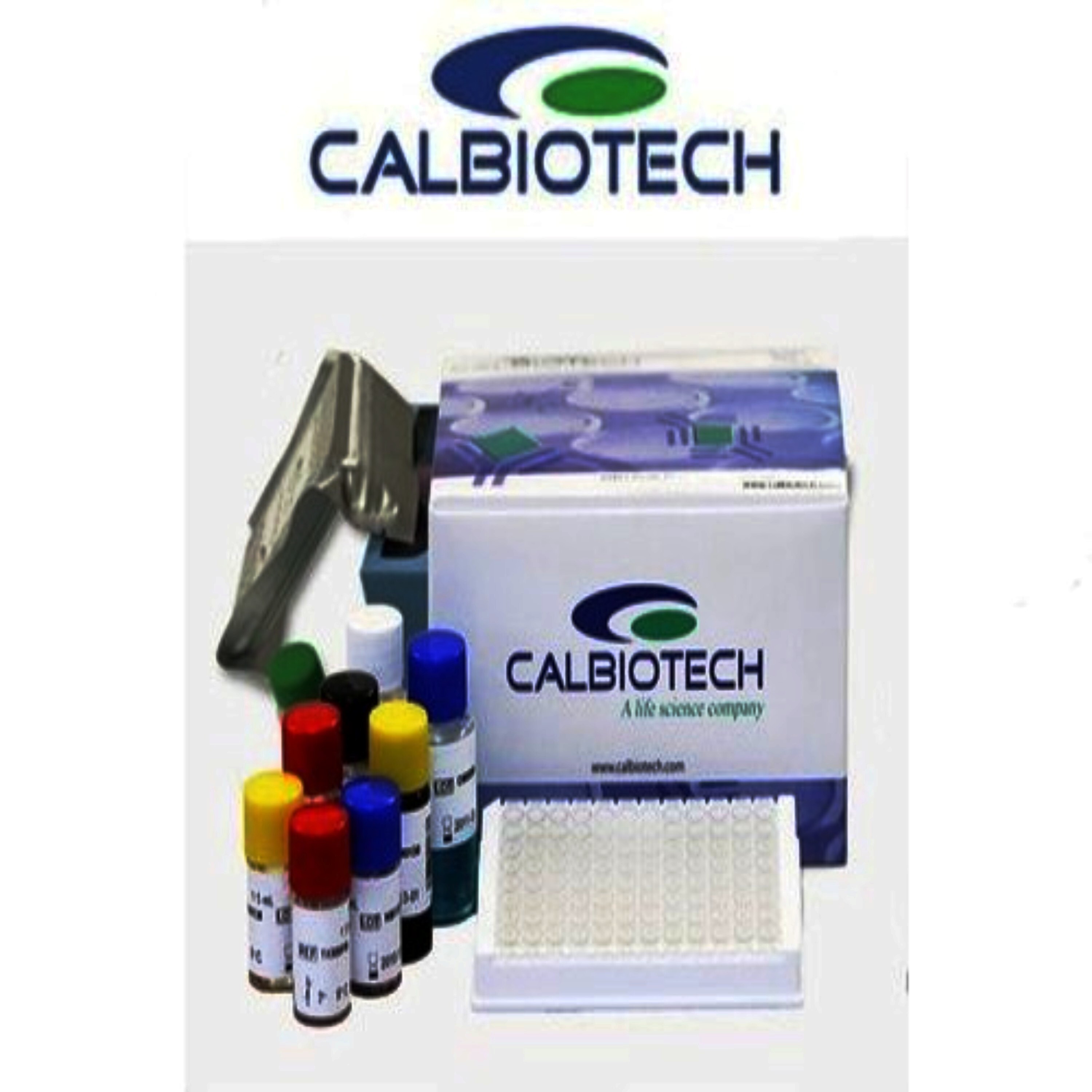 Calbiotech Dengue Virus Igg Elisa Kit - 96 Wells | Unisex Use - Ideal For Hospitals, Pathology Labs, And Clinics