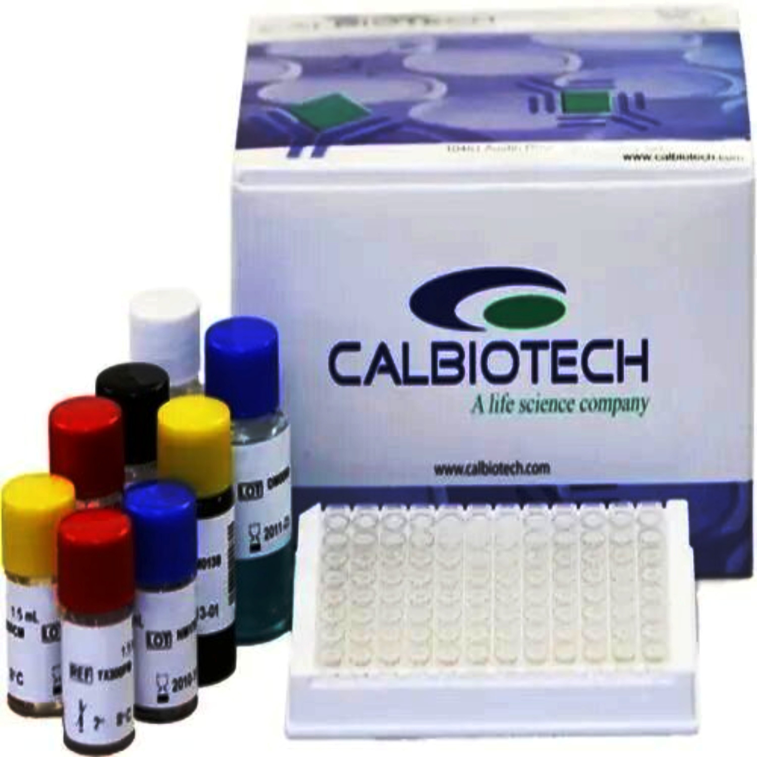 Calbiotech Dengue Virus Igg Elisa Kit - 96 Wells | Unisex Use - Ideal For Hospitals, Pathology Labs, And Clinics