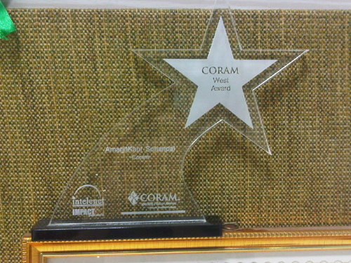 Acrylic Trophies