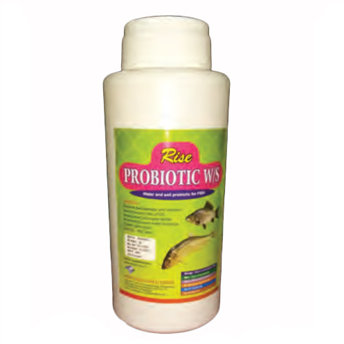 High Quality Rise Probiotic For Vibrio Control