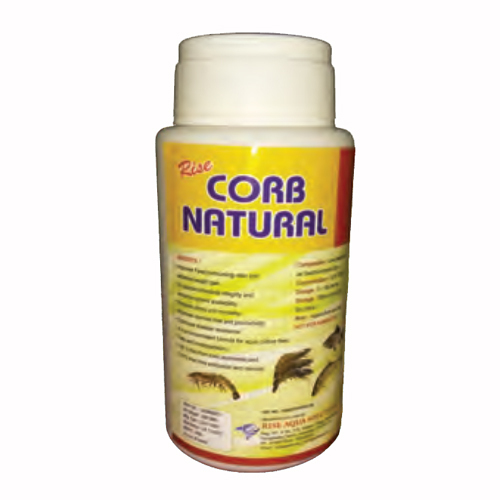 High Quality Rise Cord Natural