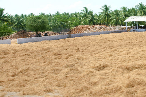 Coir Fibres